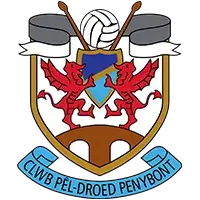 Penybont flag