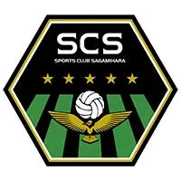 Sagamihara flag