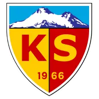 Kayserispor flag