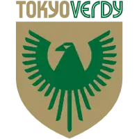 Tokyo Verdy flag