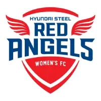 Steel Red Angels (w) flag
