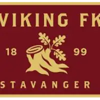 Viking B flag